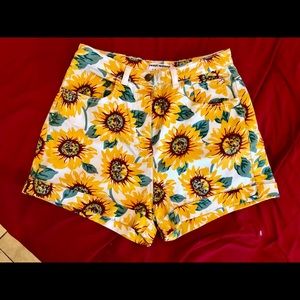American apparel sunflower shorts